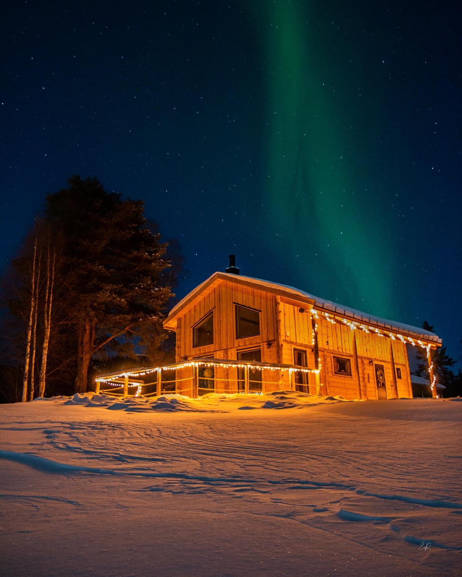 Blueberry Lodge 5 Personnes Mjolan ภายนอก รูปภาพ