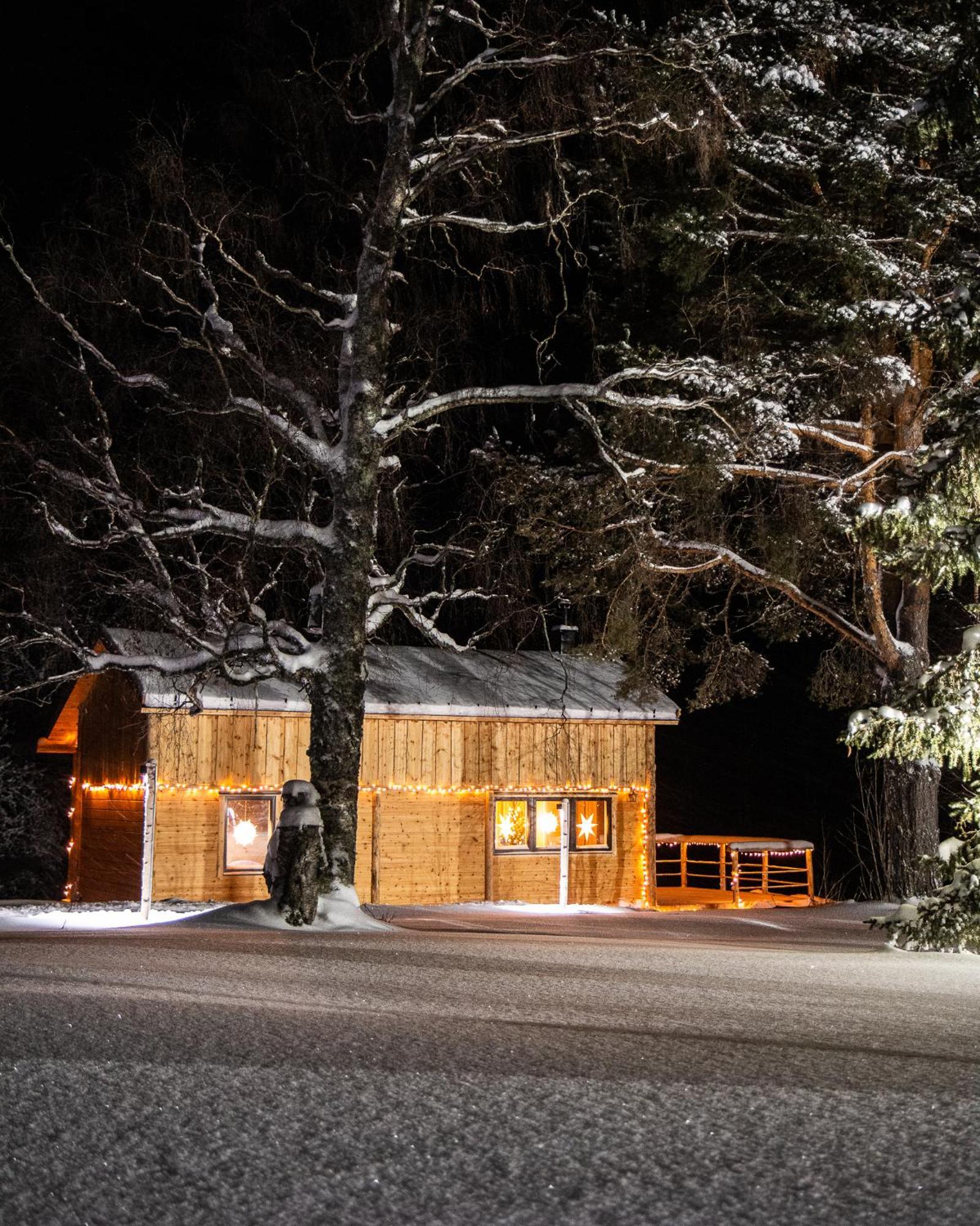 Blueberry Lodge 5 Personnes Mjolan ภายนอก รูปภาพ