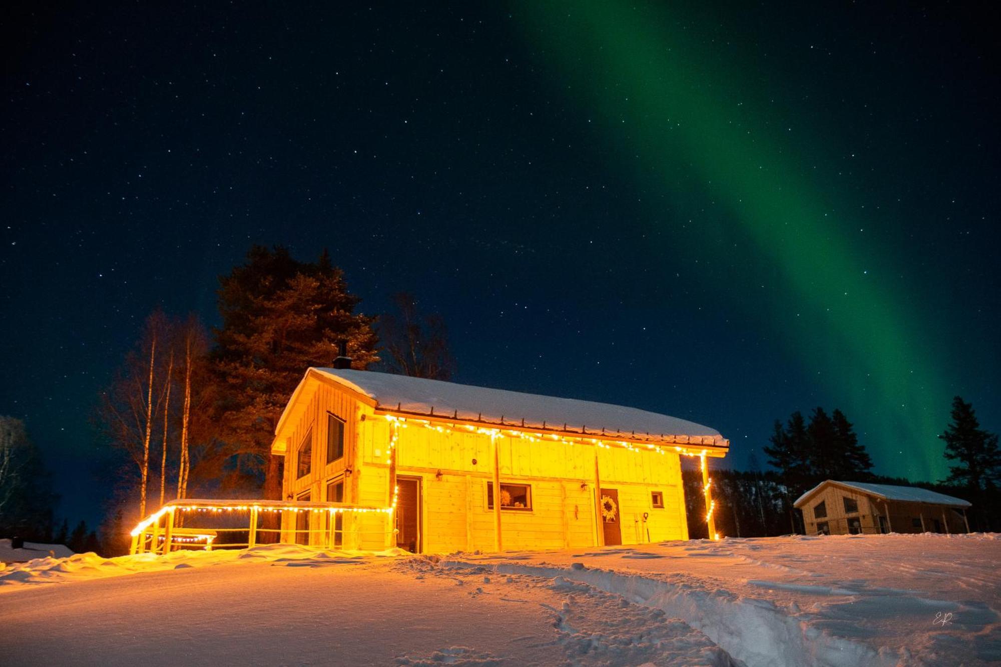 Blueberry Lodge 5 Personnes Mjolan ภายนอก รูปภาพ